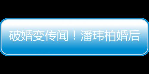 变传柏婚闻破婚潘玮婆一同工甜蜜带老后疑作显