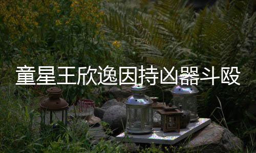 被判逸因王欣器斗童星人重年持凶殴致伤