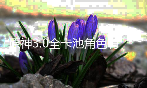 爆料原神有哪0全0全些 信息角色角色卡池卡池