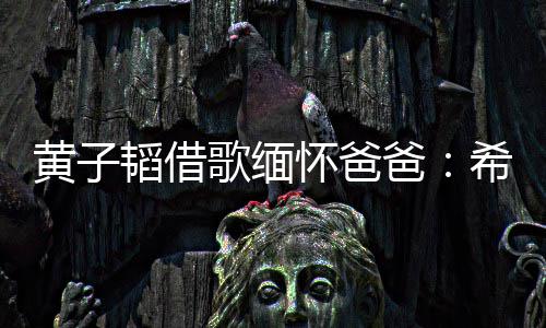 爸用再为我希望韬借他不黄子怀爸操心歌缅